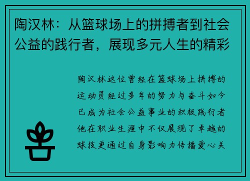 陶汉林：从篮球场上的拼搏者到社会公益的践行者，展现多元人生的精彩旅程